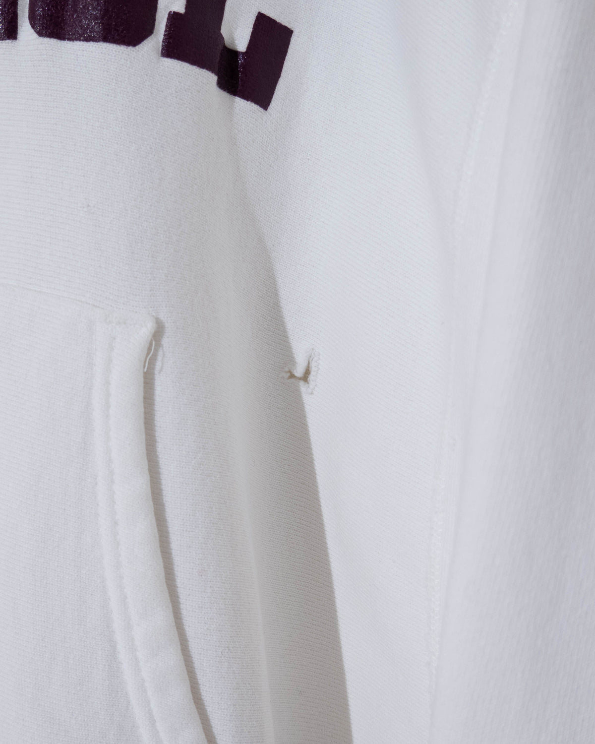 "Champion" REVERSE WEAVE college hoodie