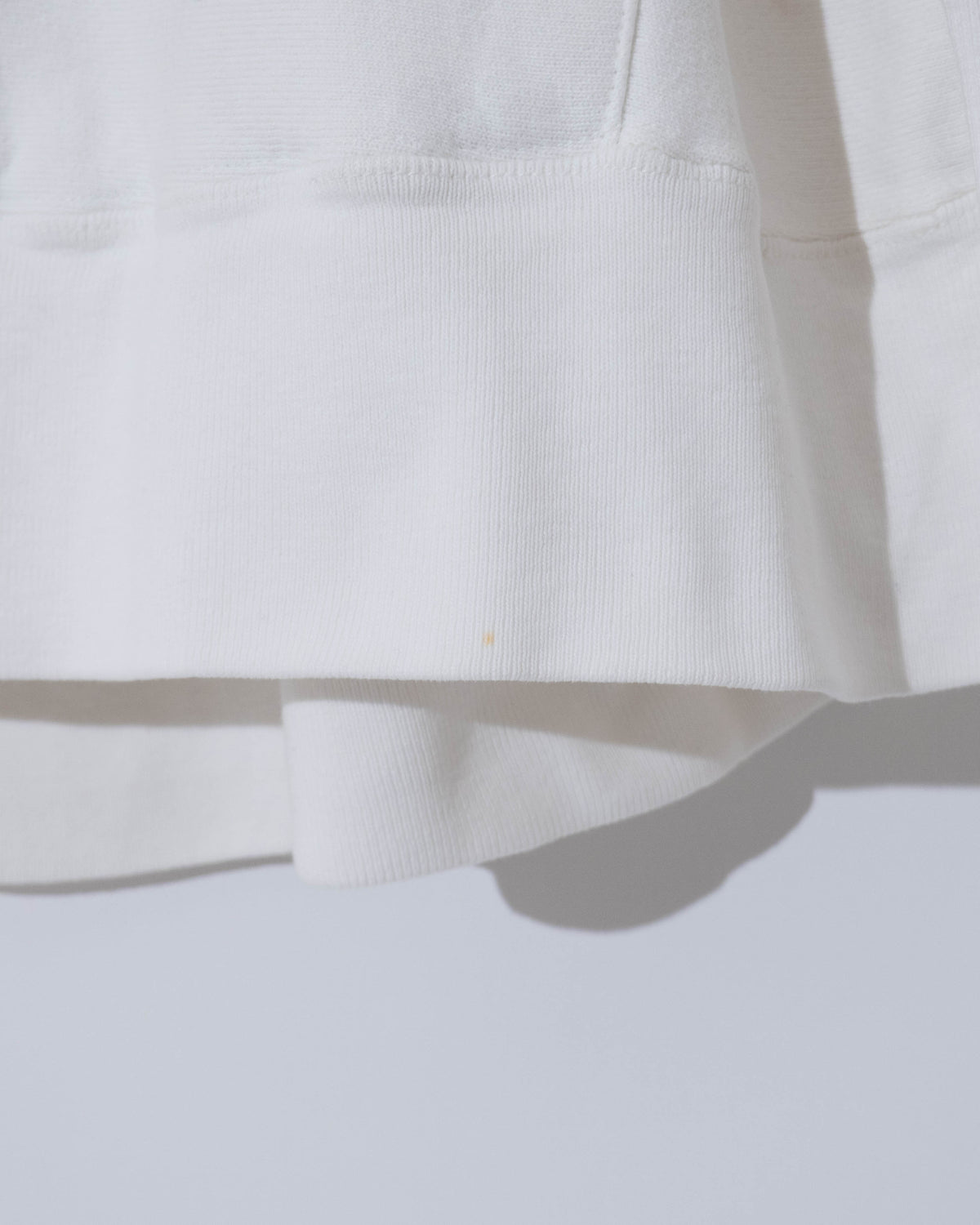 "Champion" REVERSE WEAVE college hoodie