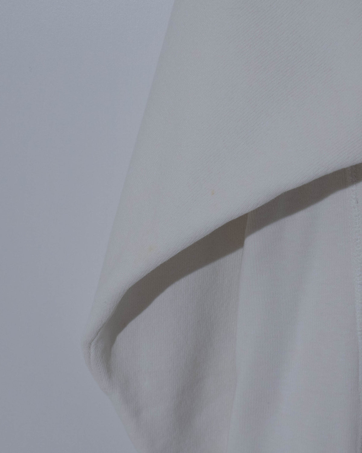 "Champion" REVERSE WEAVE college hoodie